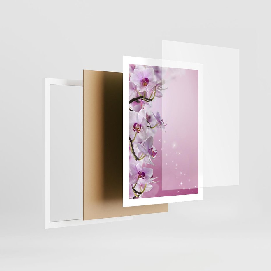 Plakat w ramie 50x70 - Relaksujące Piękno - kwiaty, orchidea - rama biała