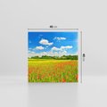 Obraz na płótnie 40x40 - Malownicze maki na łące - maki, łąka