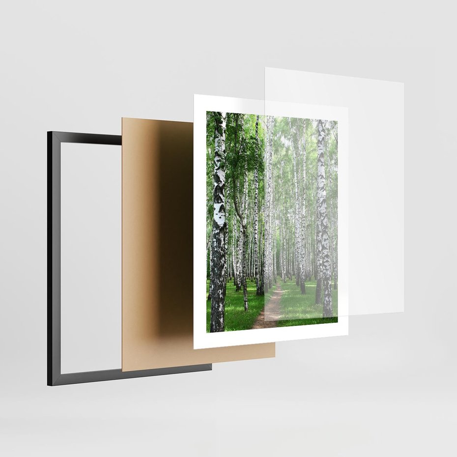 Plakat w ramie 40x50 - Magia lasu pełnego brzóz - las, brzozy - rama czarna