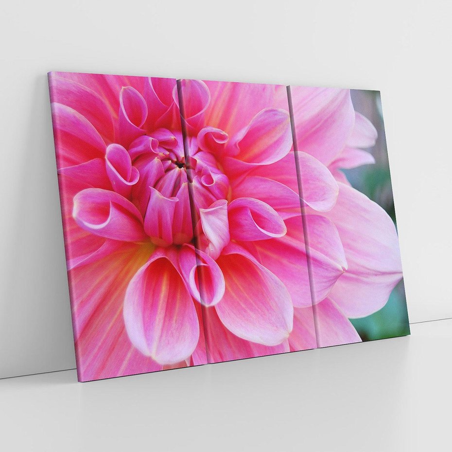 Obraz na płótnie 120x80 - Kwiatowy taniec różnorodność natury - kwiat, kwiaty