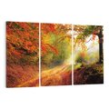 Obraz na płótnie 120x80 - Jesienny las - malownicza droga - las, jesień