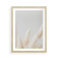 Plakat w ramie 50x70 - Biały Spokój - białe trawy, suche trawy pampas - rama drewno