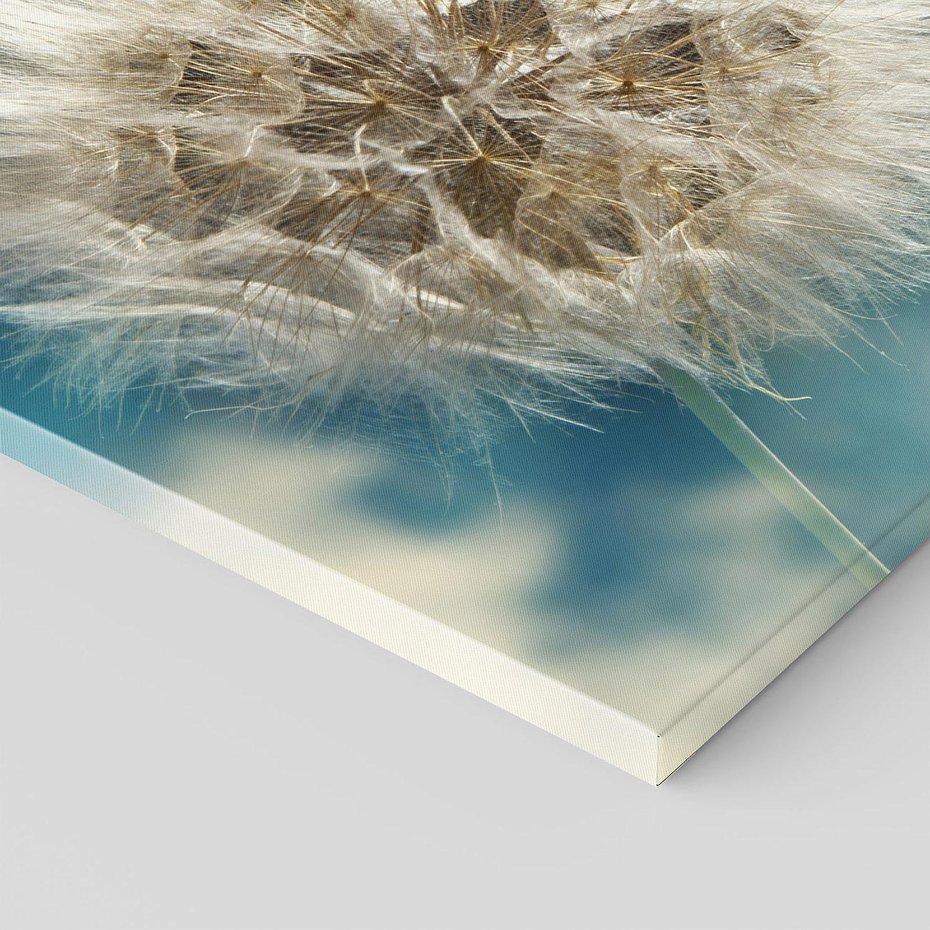 Obraz na płótnie 120x80 - Delikatność dmuchawców w pejzażu - dmuchawiec, kwiaty