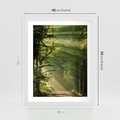 Plakat w ramie 40x50 - harmonia natury - las, drzewa - rama biała