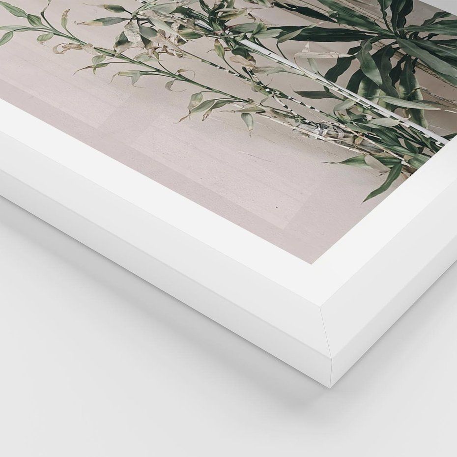 Plakat w ramie 50x70 - Egzotyczna Kompozycja - liście, rośliny tropikalne na tle ściany - rama biała