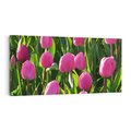 Obraz na płótnie 140x70 - Tulipanowa harmonia - tulipany, kwiaty