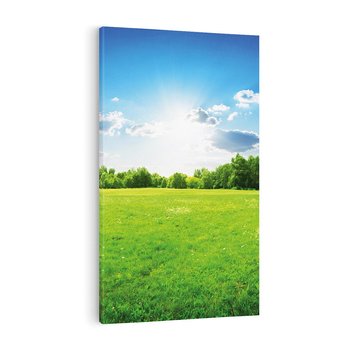 Obraz na płótnie 80x120 - Idylla na łące drzew - łąka, drzewa