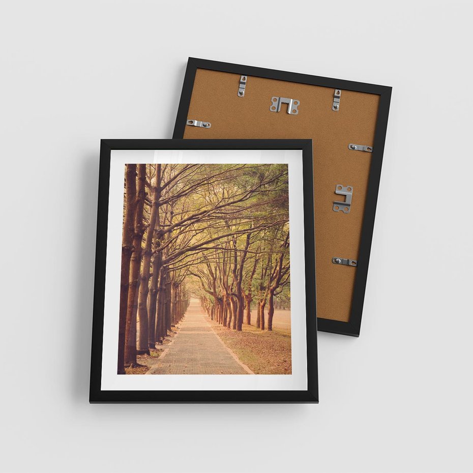 Plakat w ramie 40x50 - Wędrówka między drzewami - droga, drzewa - rama czarna