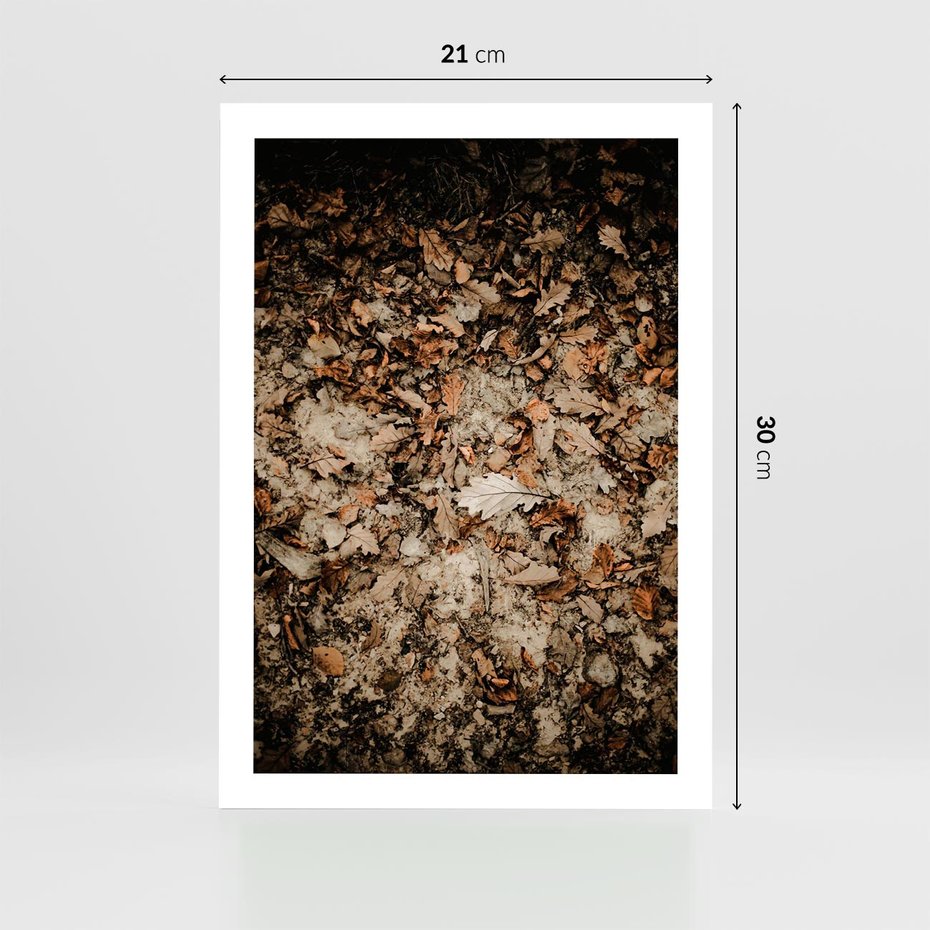 Plakat bez ramy 21x30 - Suchość Liści w Brązowych Tonach - suche liście jesień brąz