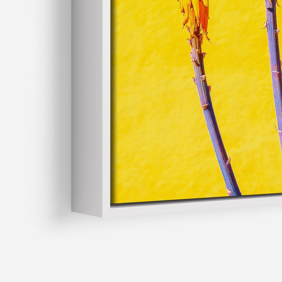 Obraz w ramie 50x70 - Radość Natury - kolor, kwiaty - rama biała