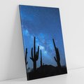 Obraz na płótnie 50x70 - Kaktusy - Niebo z gwiazdami - kaktusy, niebo