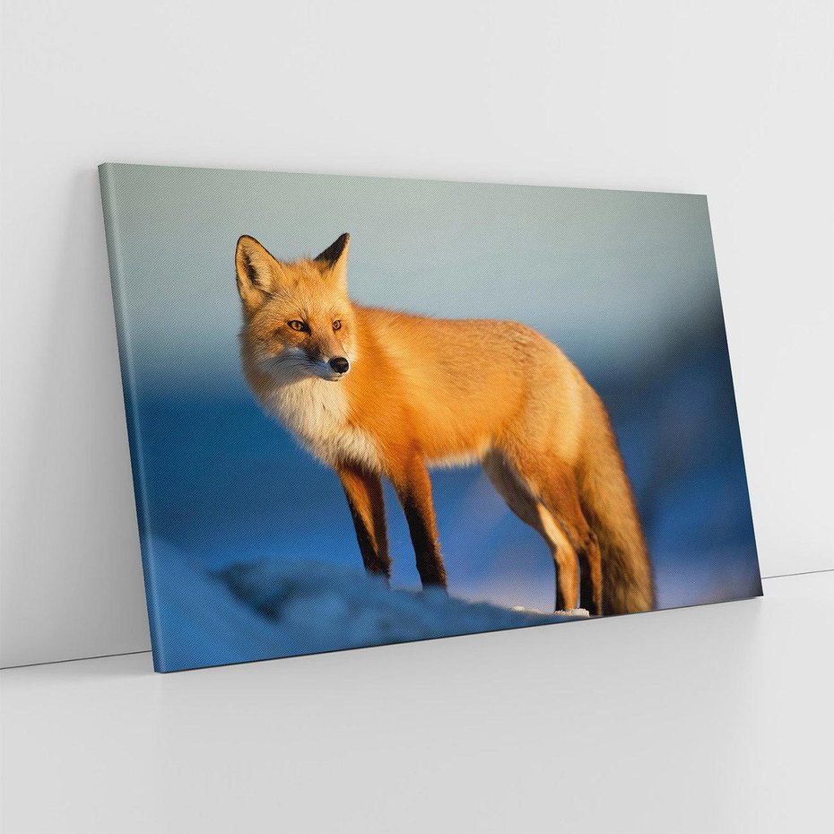 Obraz na płótnie 120x80 - Lisek w lesie - lis, lisek