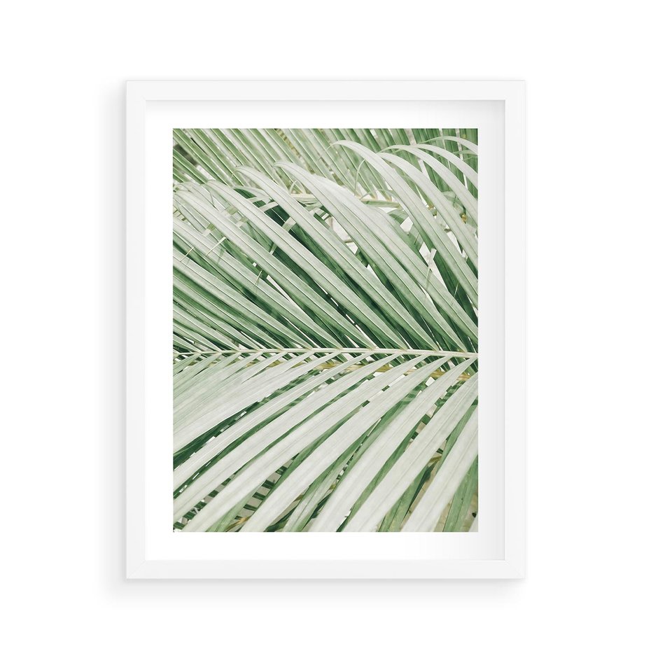 Plakat w ramie 40x50 - Liście Palmy: Egzotyczna Grafika - palma, liście palmy - rama biała
