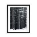 Plakat w ramie 40x50 - Leśna Cisza: Malowniczy Pejzaż Zimą - las zimą, ośnieżone pnie drzew - rama czarna