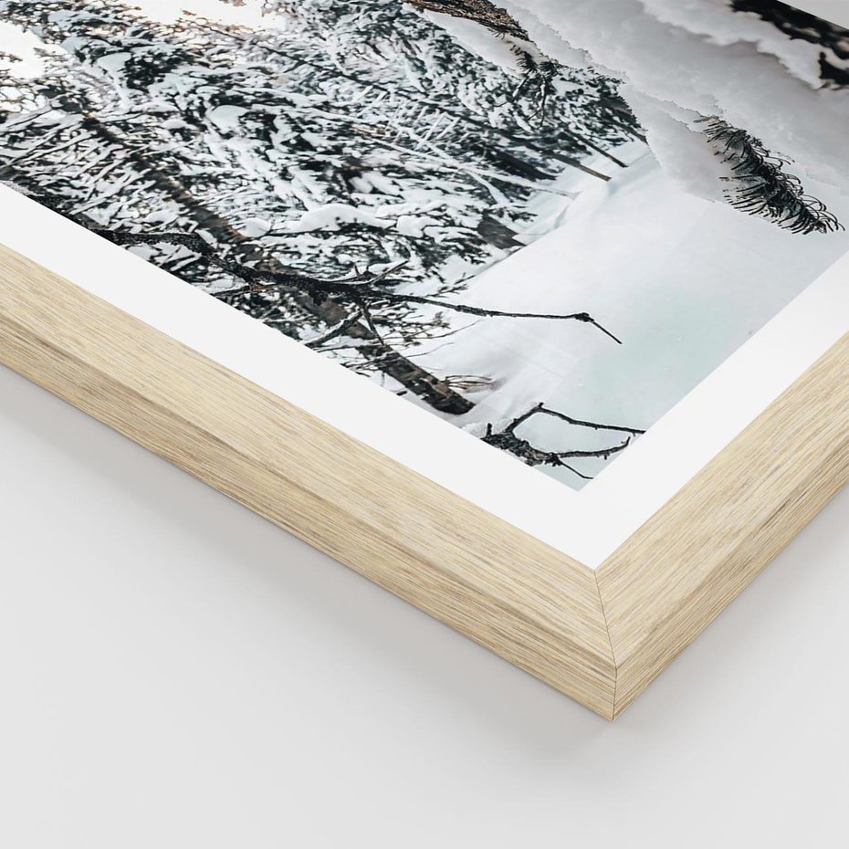 Plakat w ramie 50x70 - Drzewa pod Śniegiem - zima las, drzewa pod śniegiem - rama drewno