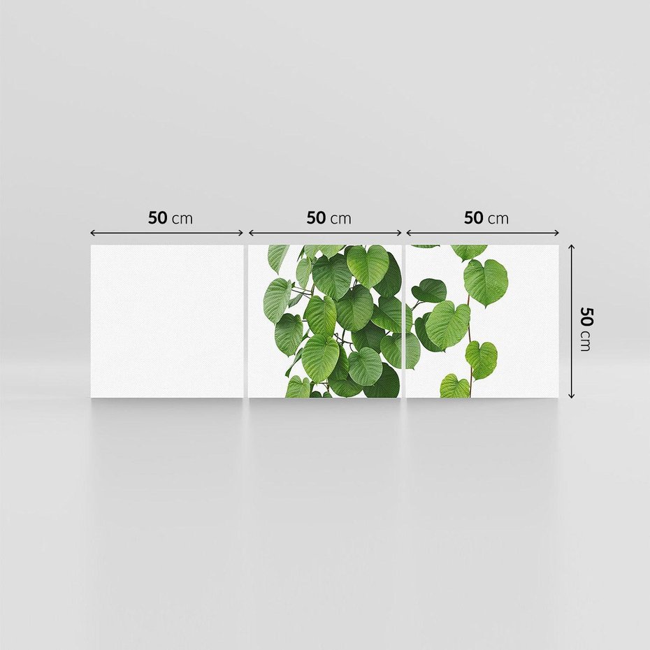 Obraz na płótnie 150x50 - Świeżość Natury - liście, zielone