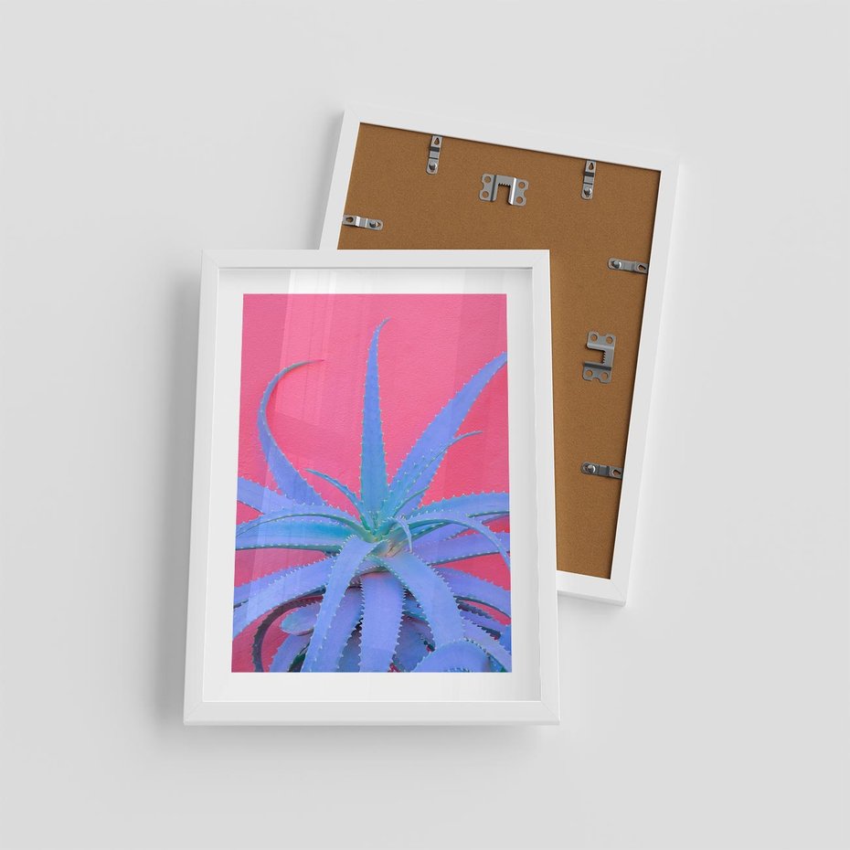 Plakat w ramie 30x40 - Piękno Pustyni - kaktusy, liście - rama biała