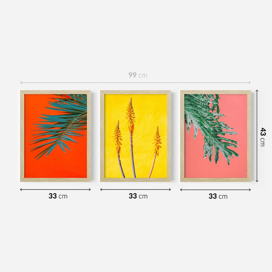 Zestaw obrazy w ramie 30x40 galeria - Rośliny, liście, kolorowe, energetyczne, tło - rama drewno