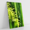 Obraz na płótnie 50x70 - Spokój bambusowego lasu SPA - bambus, drzewa