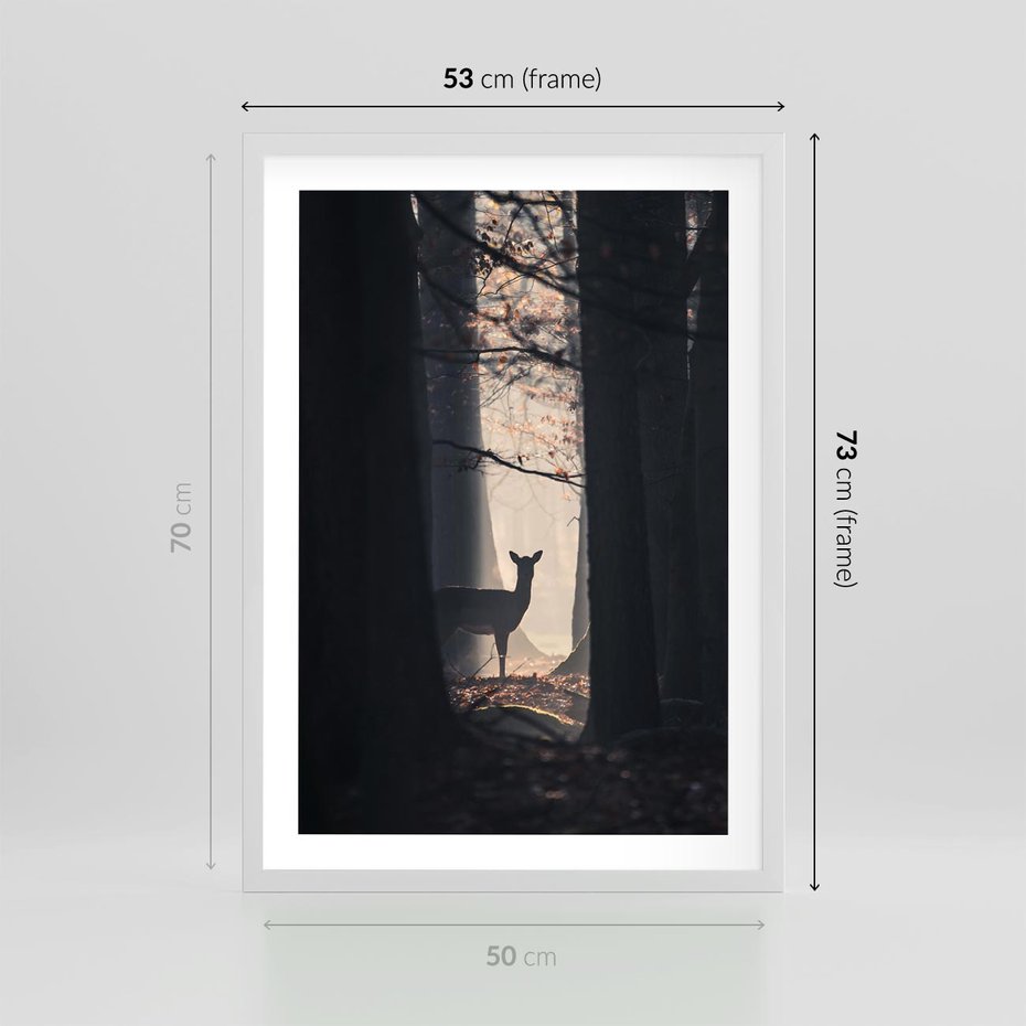 Plakat w ramie 50x70 - Sarnie Skoki - zdjęcie, klimatyczny las - rama biała