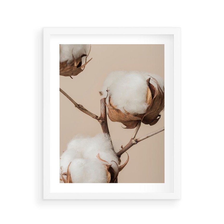 Plakat w ramie 40x50 - Bawełniana melancholia - bawełna, suche - rama biała