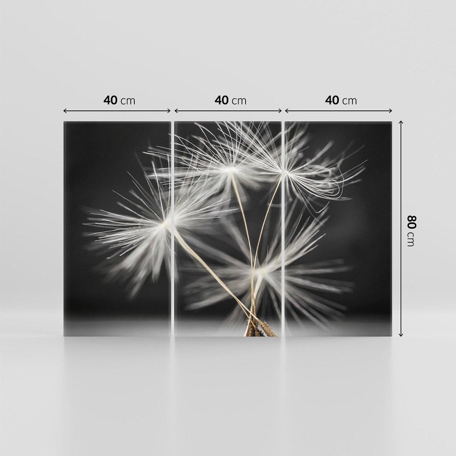 Obraz na płótnie 120x80 - Delikatność dmuchawców zbliżenie - dmuchawce, zbliżenie