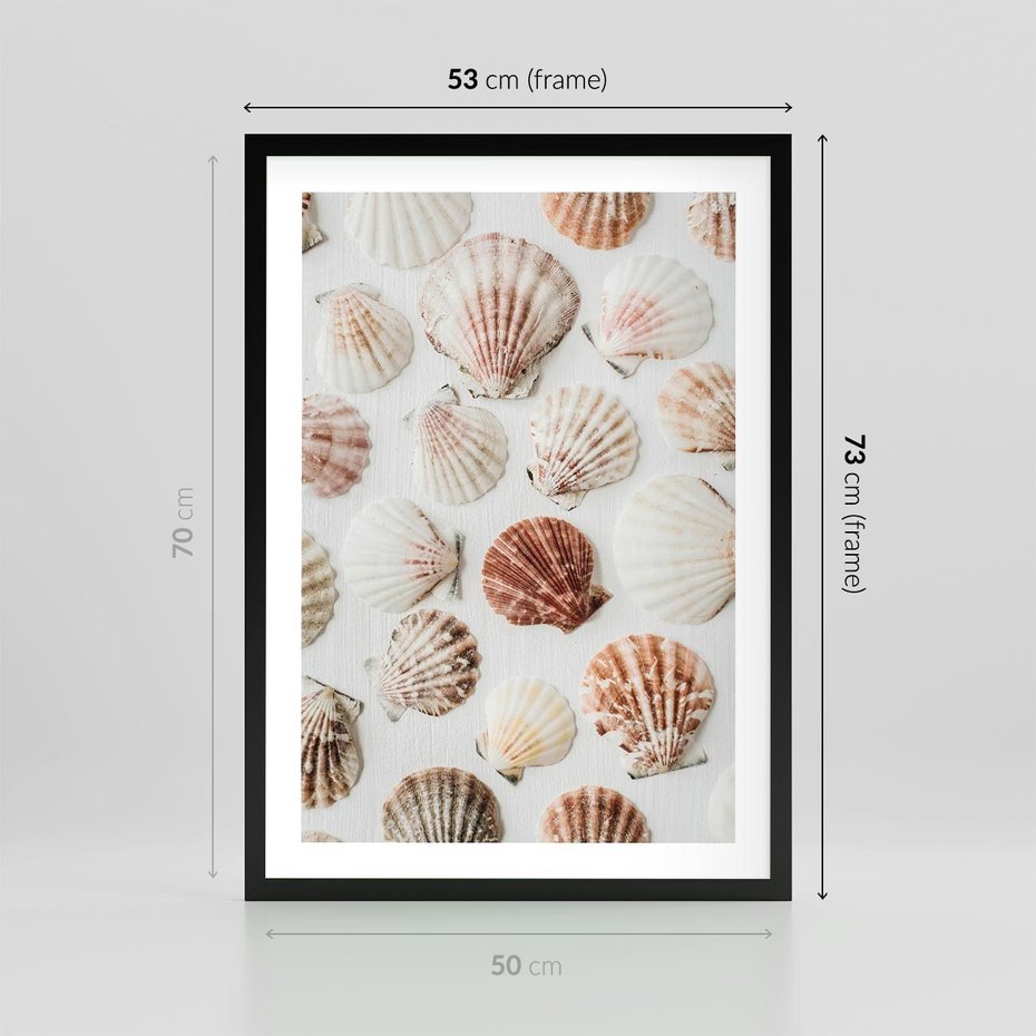 Plakat w ramie 50x70 - Morska Delikatność: Muszelki na Białym Tle - kompozycja, morskie muszelki na białym tle - rama czarna