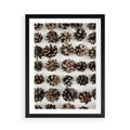 Plakat w ramie 50x70 - Jesienna Tekstura - kompozycja z suchych szyszek, jesienne szyszki - rama czarna