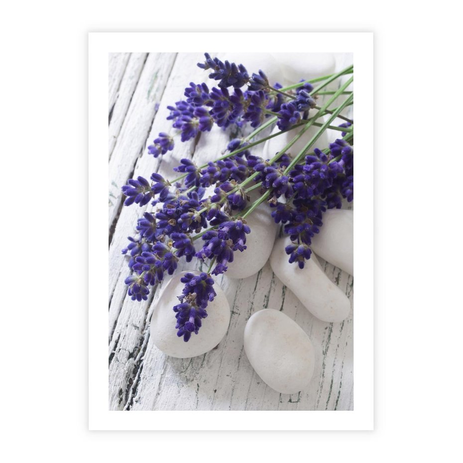 Plakat bez ramy 50x70 - relaks z aromatem - lawenda, spa