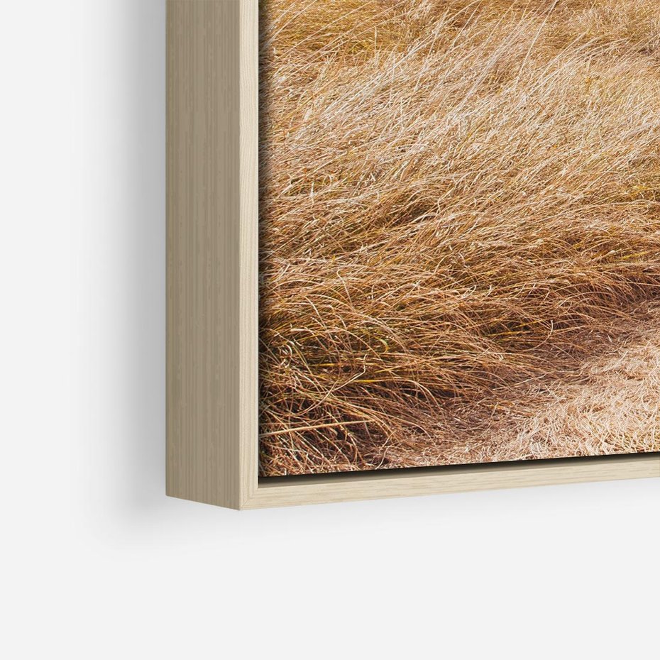 Obraz w ramie 80x80 - Tajemnicza Ścieżka - latarnia morska w oddali, suche trawy - rama drewno