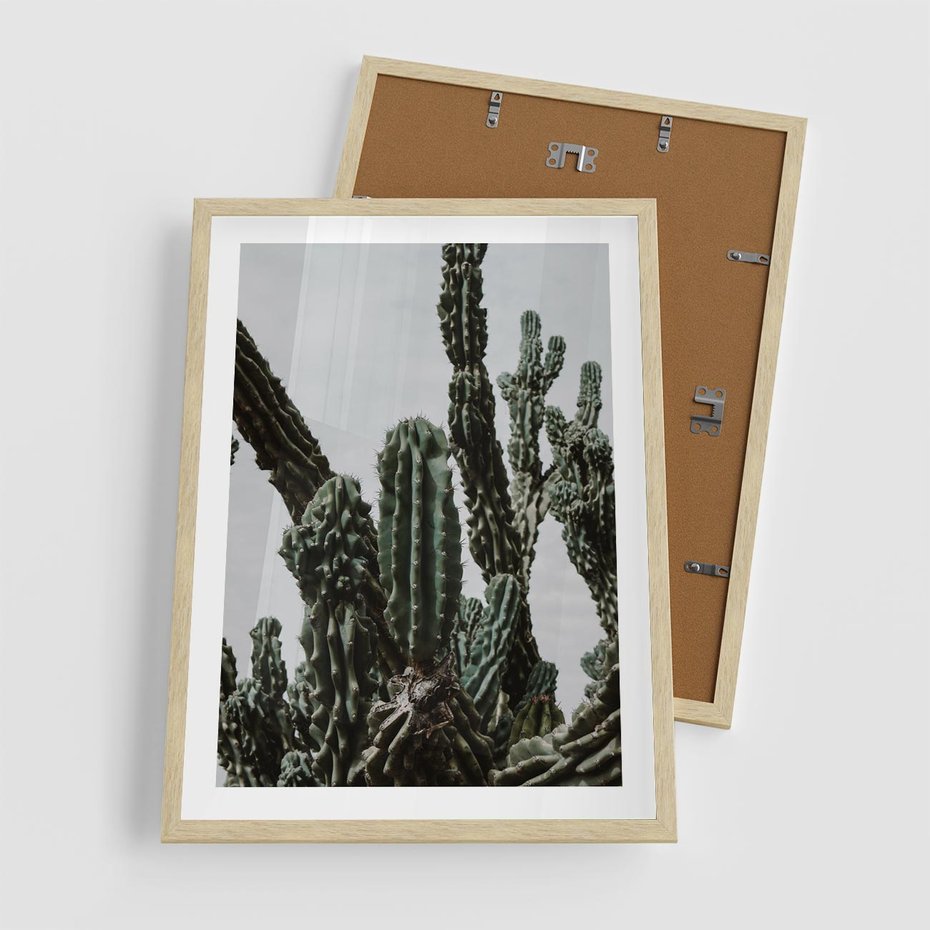 Plakat w ramie 50x70 - Boho oaza wśród kaktusów - kaktusy, pustynia - rama drewno