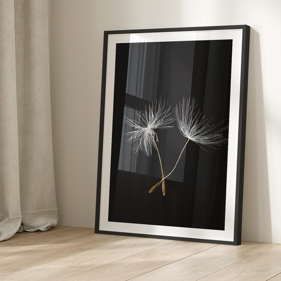 Plakat w ramie 40x50 - Delikatność Wiatru - dmuchawce, makro - rama czarna