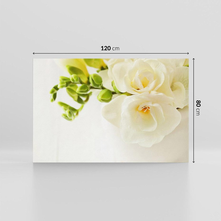 Obraz na płótnie 120x80 - Subtelność białych frezji - frezja, białe