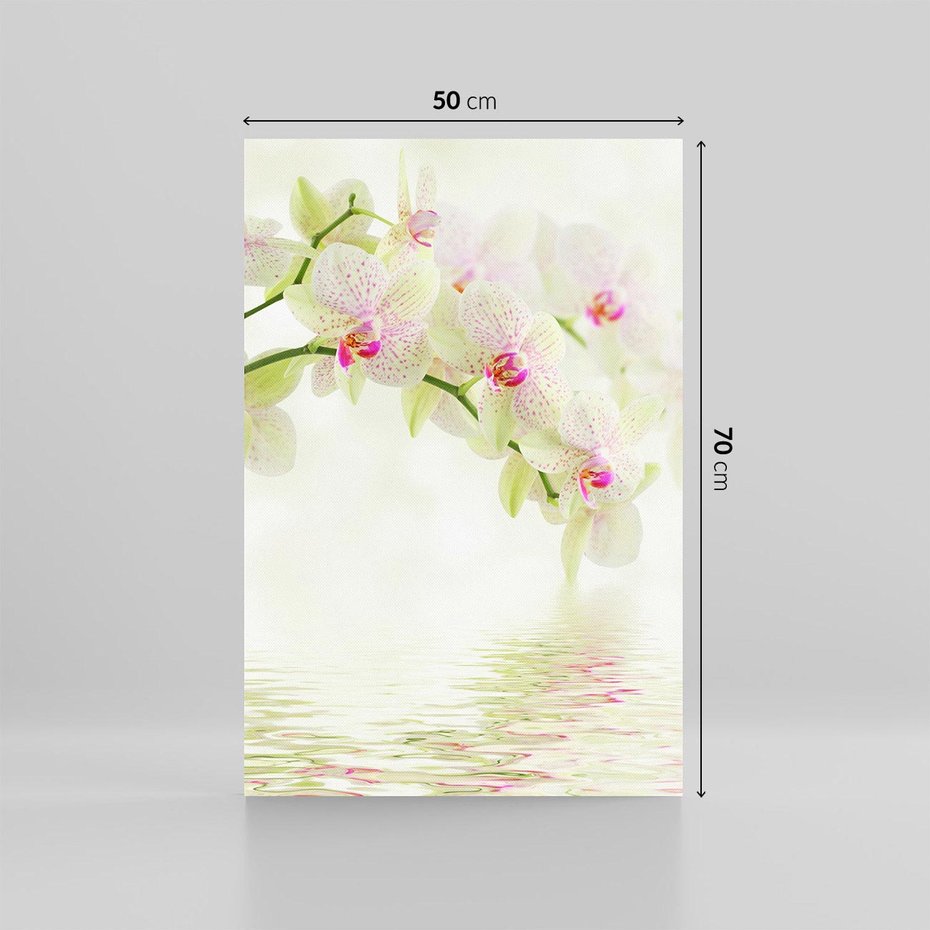 Obraz na płótnie 50x70 - Orchidea w Spa - orchidea, kwiaty