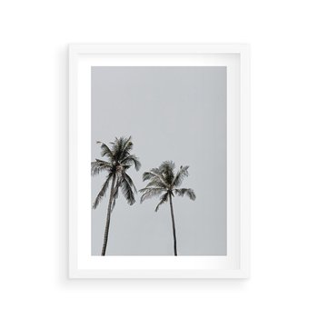 Plakat w ramie 30x40 - Tropikalny Raj: Palmy i Niebo - palmy, niebo - rama biała