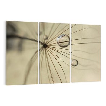 Obraz na płótnie 120x80 - Delikatność dmuchawców - dmuchawce, krople