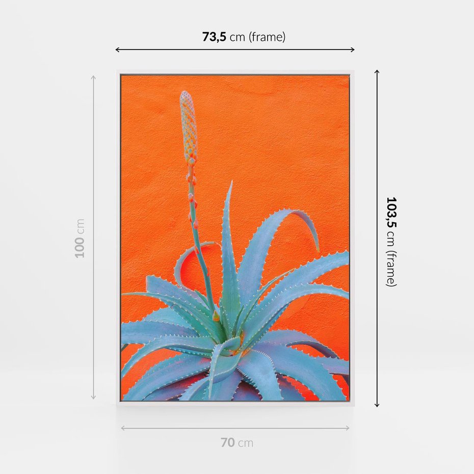 Obraz w ramie 70x100 - Naturalna Harmonia - kaktusy, liście - rama biała