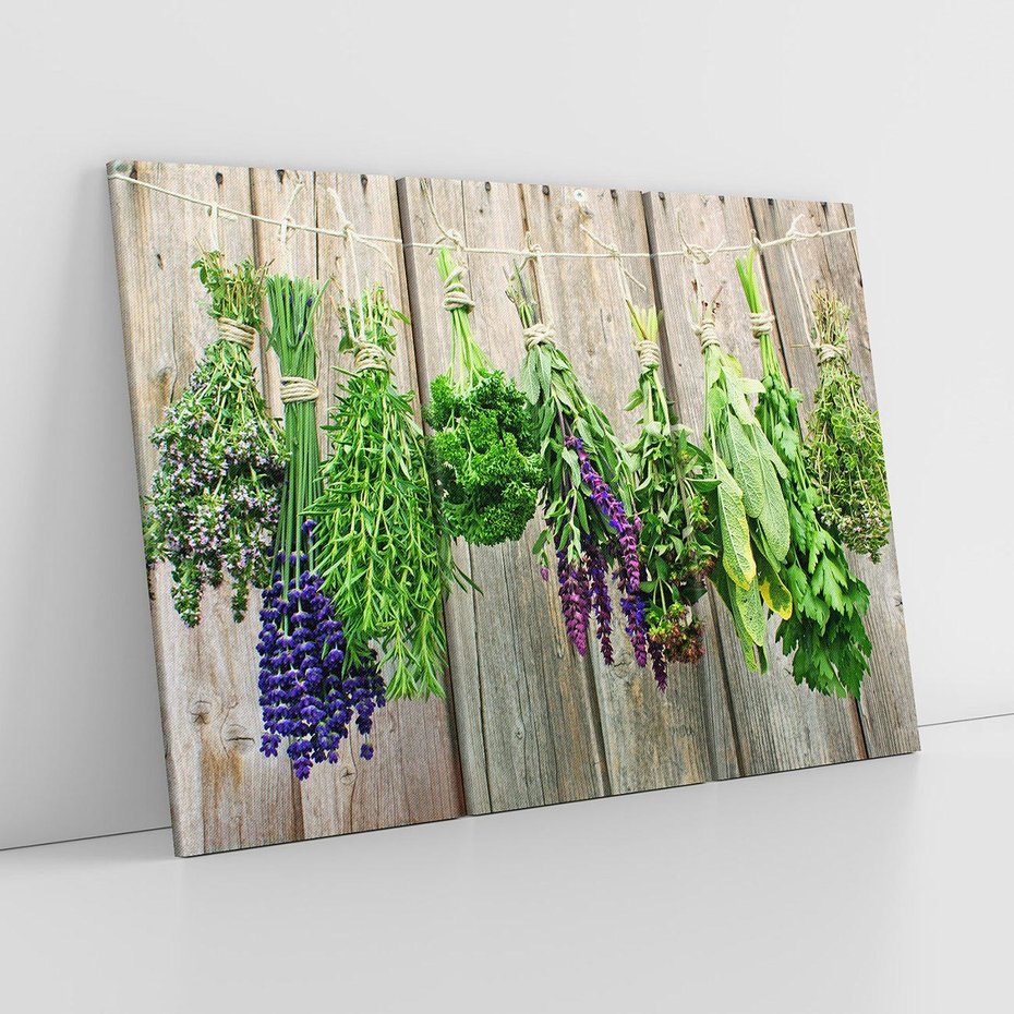Obraz na płótnie 120x80 - Przyprawy Rośliny Fantazja - przyprawy, rośliny