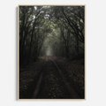 Obraz w ramie 80x120 - Urok Drogi - las, droga - rama drewno