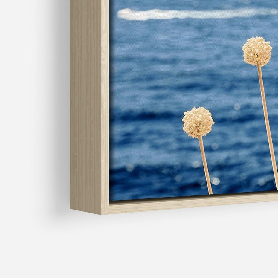 Obraz w ramie 70x50 - Kontrasty Natury - fotografia, pierwszy plan sucha roślinność - rama drewno