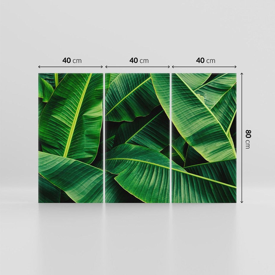 Obraz na płótnie 120x80 - Zaklęta roślinna ekspresja - liście bananowca, gęsto ułożone