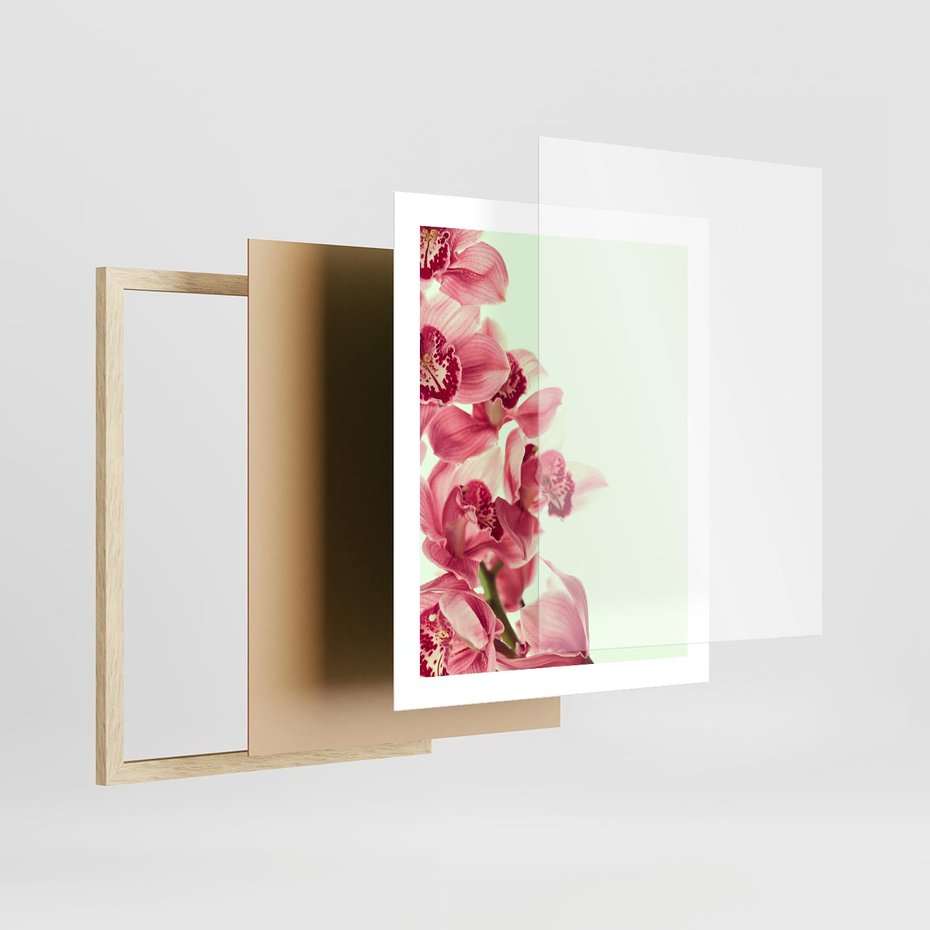 Plakat w ramie 40x50 - Orchidea - delikatne kwiaty - orchidea, kwiaty - rama drewno