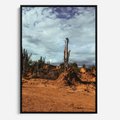 Obraz w ramie 50x70 - Skarby Pustynnego Kanionu - pustynia, kaktusy - rama czarna