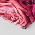 Obraz na płótnie 150x50 - Róże - piękno kwiatów - róże, kwiaty