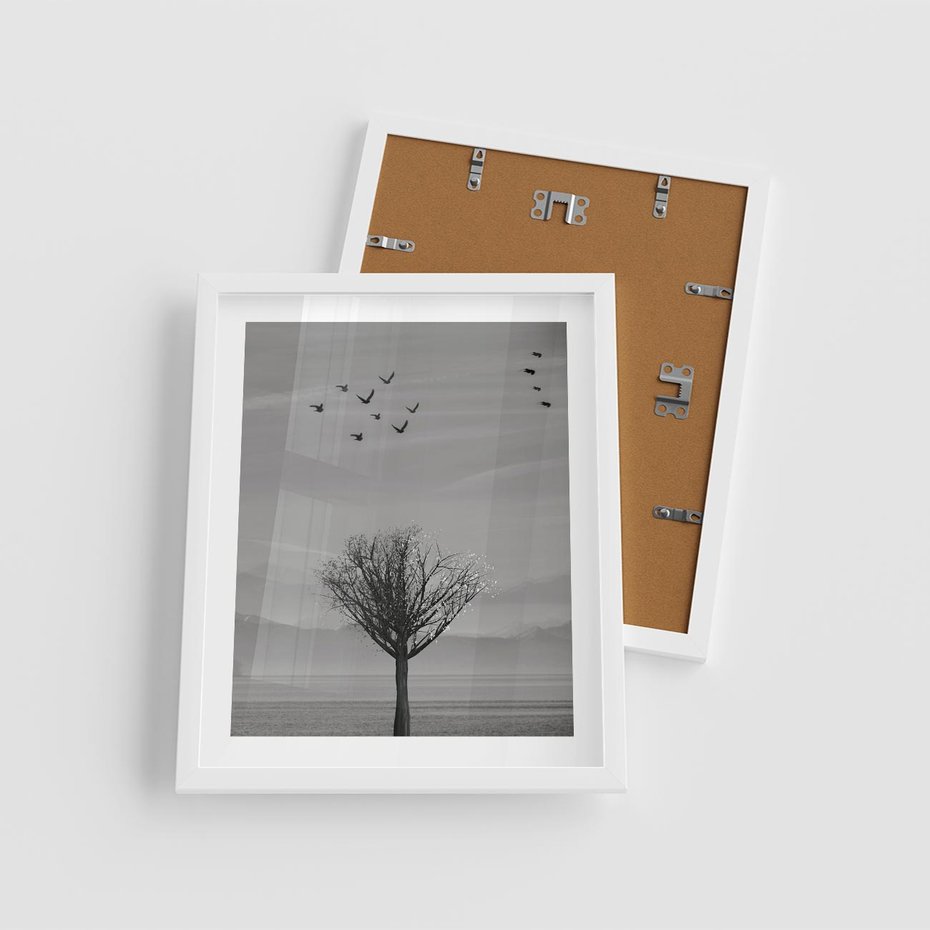 Plakat w ramie 40x50 - Samotne Drzewo - samotne drzewo w polu, czarno białe zdjęcie - rama biała