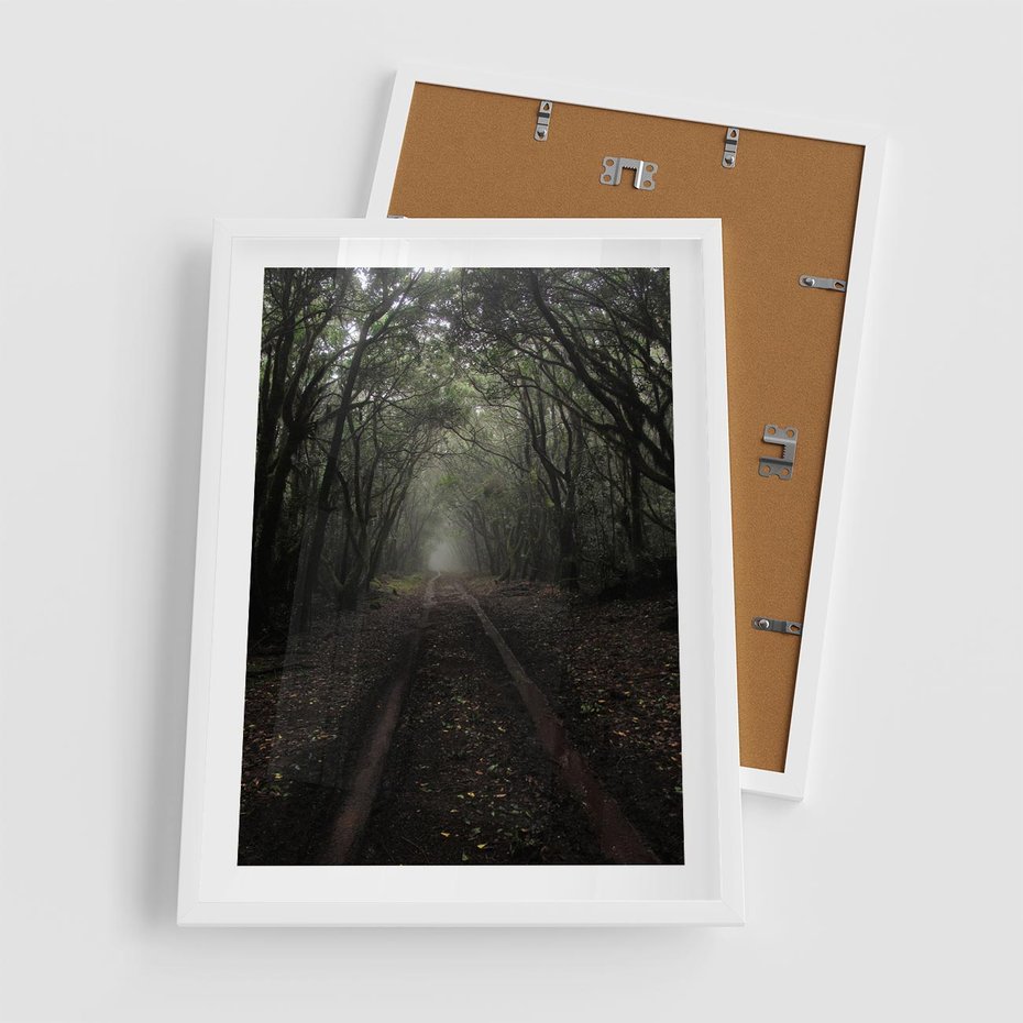 Plakat w ramie 50x70 - Urok Drogi - las, droga - rama biała