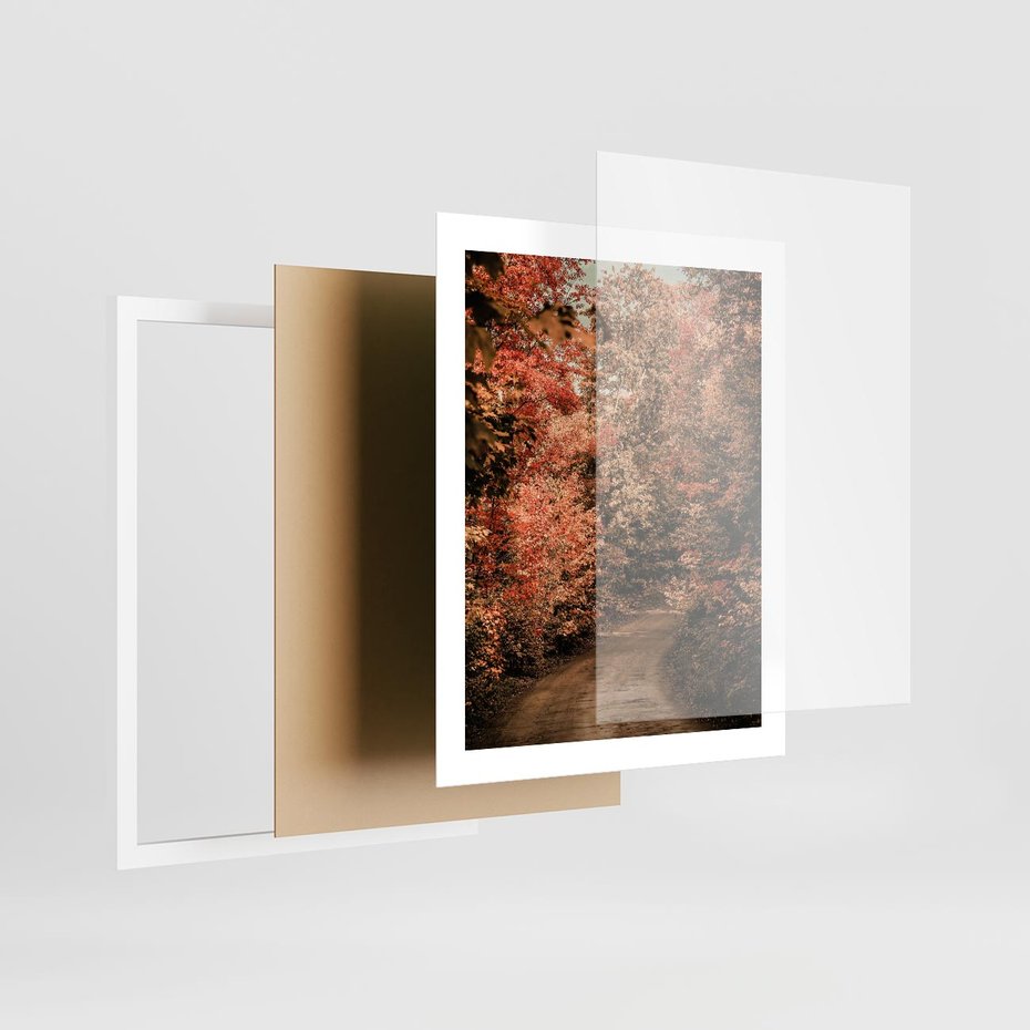 Plakat w ramie 40x50 - Obraz przedstawia jesienne drzewa i czerwone liście na ścieżce w lesie. Ta sceneria doskonale oddaje urok i kolorystykę jesieni w lesie. - las, jesień - rama biała
