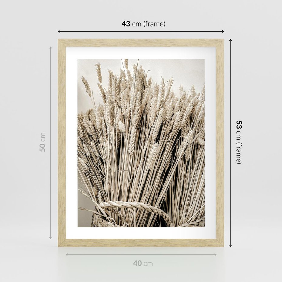 Plakat w ramie 40x50 - Letni Plon - zboże, kłosy zboża - rama drewno