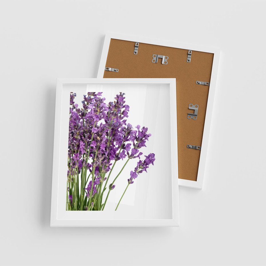 Plakat w ramie 40x50 - Pola lawendy w pełnym rozkwicie - lawenda, kwiaty - rama biała