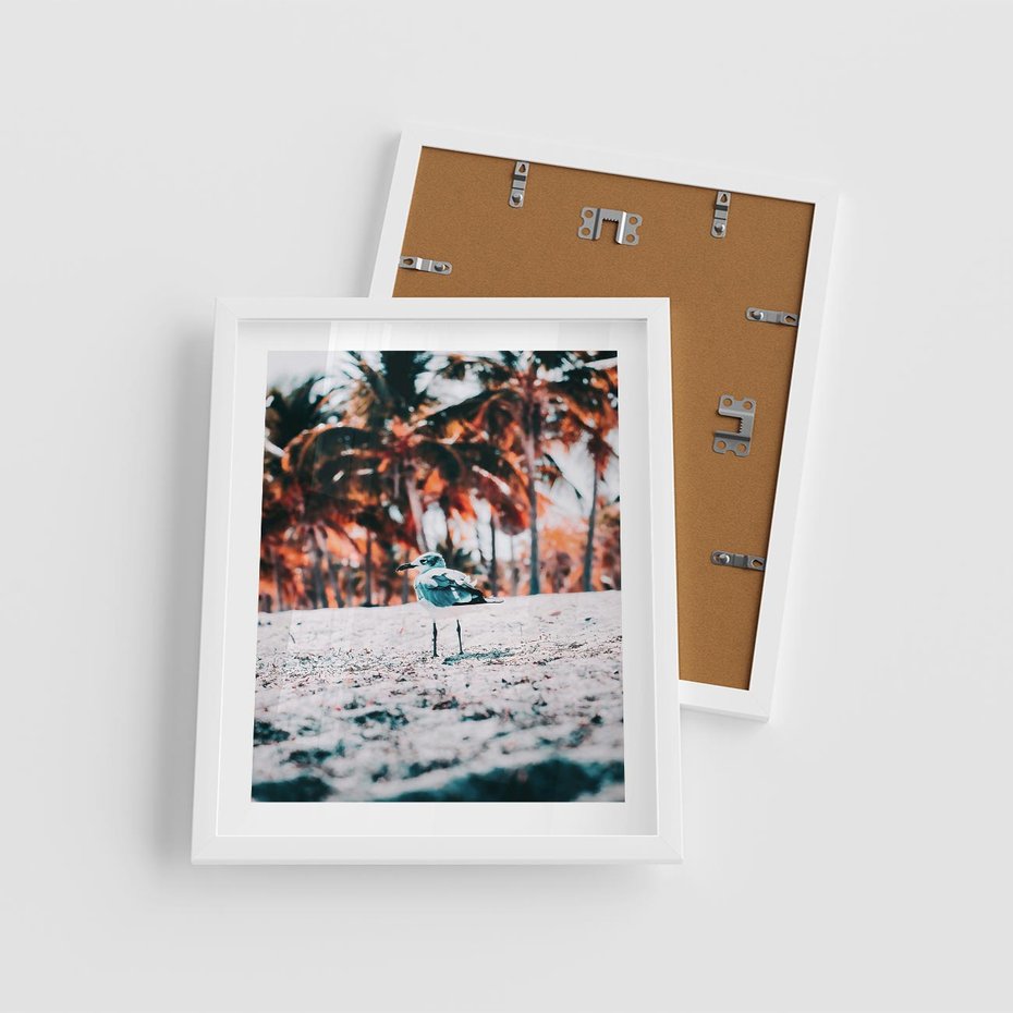 Plakat w ramie 40x50 - Tropikalna Uroda: Plaża z Mewą - tropikalna plaża, mewa na piasku - rama biała